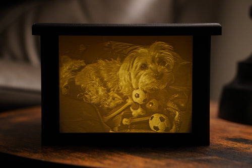 LightBox